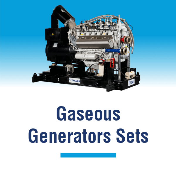 Gas Generator Sets